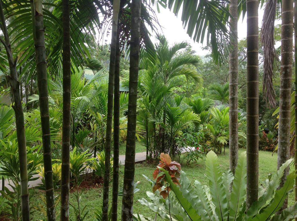 Vipa Tropical Resort Ао Нанг Экстерьер фото